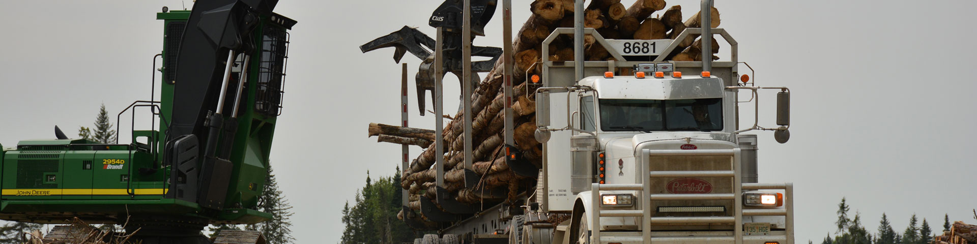 logging truck being loaded